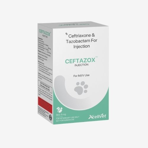 CEFTAZOXTM