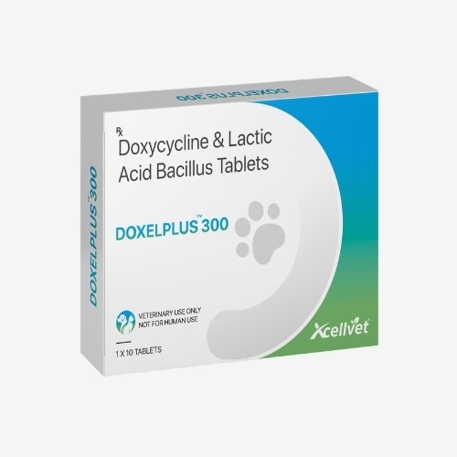 DOXELPLUSTM