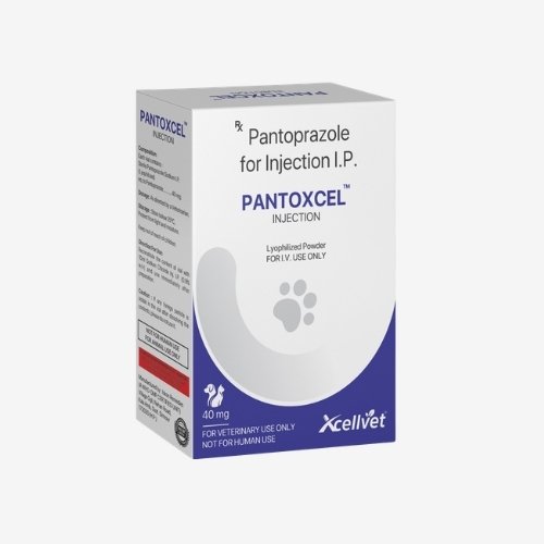 PANTOXCELTM