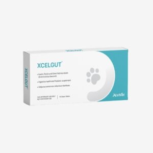 XCELGUT