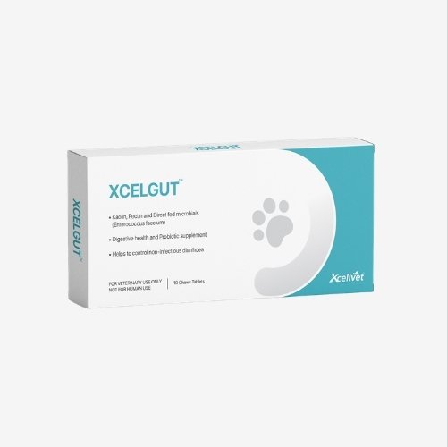 XCELGUTTM